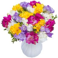 Bouquet of freesia