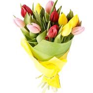 Bouquet of 11 tulips