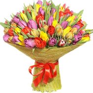 Bouquet of 151 tulips of different colors