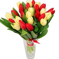 Bouquet of 25 tulips