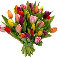 Bouquet of 35 Tulips