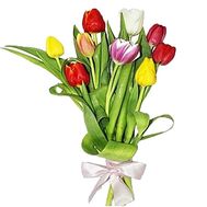 Bouquet of 9 Tulips