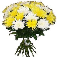 Bouquet of white and yellow single-headed chrysanthemums