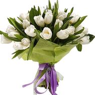 Bouquet of white tulips