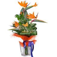 Bouquet of exotic:strelitzia
