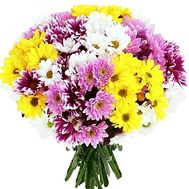 Bouquet of chrysanthemums of different colors