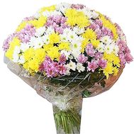 Bouquet of chrysanthemum