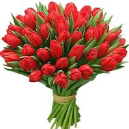 Bouquet of red tulips