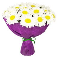 Bouquet of chamomiles