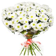 Bouquet of chamomiles to buy