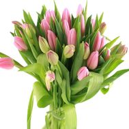 Bouquet of pink tulips