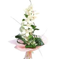 Bouquet from a branch of a white orchid