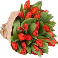 Bouquet of red tulips