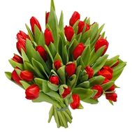 Bouquet of red tulips