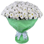 A bouquet of chamomiles is a big