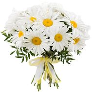 Bouquet of chamomiles