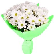 A bouquet of chamomile