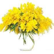 Bouquet with mimosa