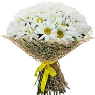 Bouquet with chamomiles