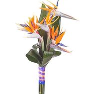 Bouquet with shooting