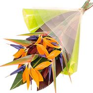 A bouquet of strelitzia