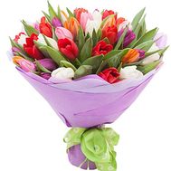 Bouquet of tulips to buy