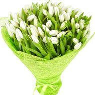 Bouquet of tulips with delivery