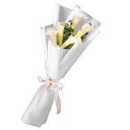 Bouquet of callas