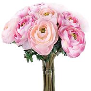 Exotic flowers of the Ranunculus