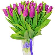 Purple tulips
