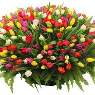 A huge bouquet of 501 tulips