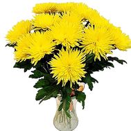 Chrysanthemums large bouquet
