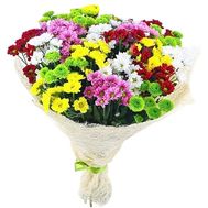 Chrysanthemum bouquet