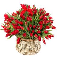 Shopping cart 101 red tulip