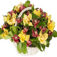 Basket of orchids