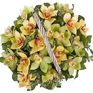 Orchid Basket