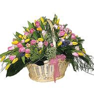 Basket of multi-colored tulips 101 tulip