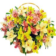 Basket with orchids