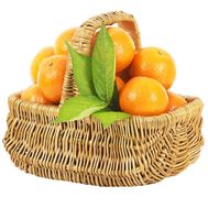 Basket of tangerines