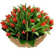 Basket with tulips