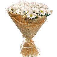 Beautiful chamomiles