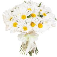 Beautiful bouquet of chamomiles