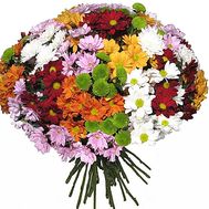 Round bouquet of chrysanthemums