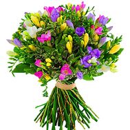 Buy bouquet of freesias