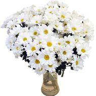 Buy camomiles with delivery