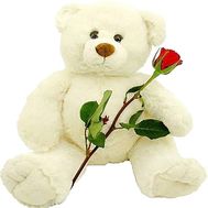 Teddy bear with flowers