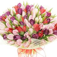 Huge bouquet of tulips