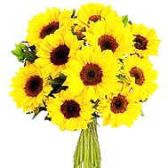 Buy Sunflowers