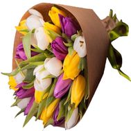 Multicolored tulips