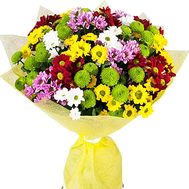 Multicolored bouquet of chrysanthemums